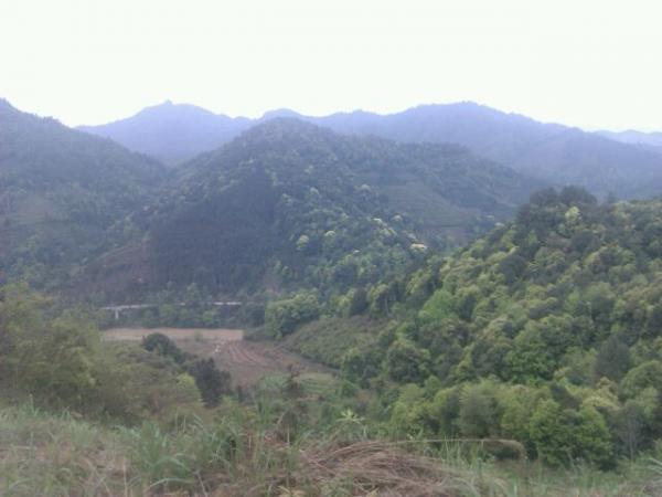 RefreshToView